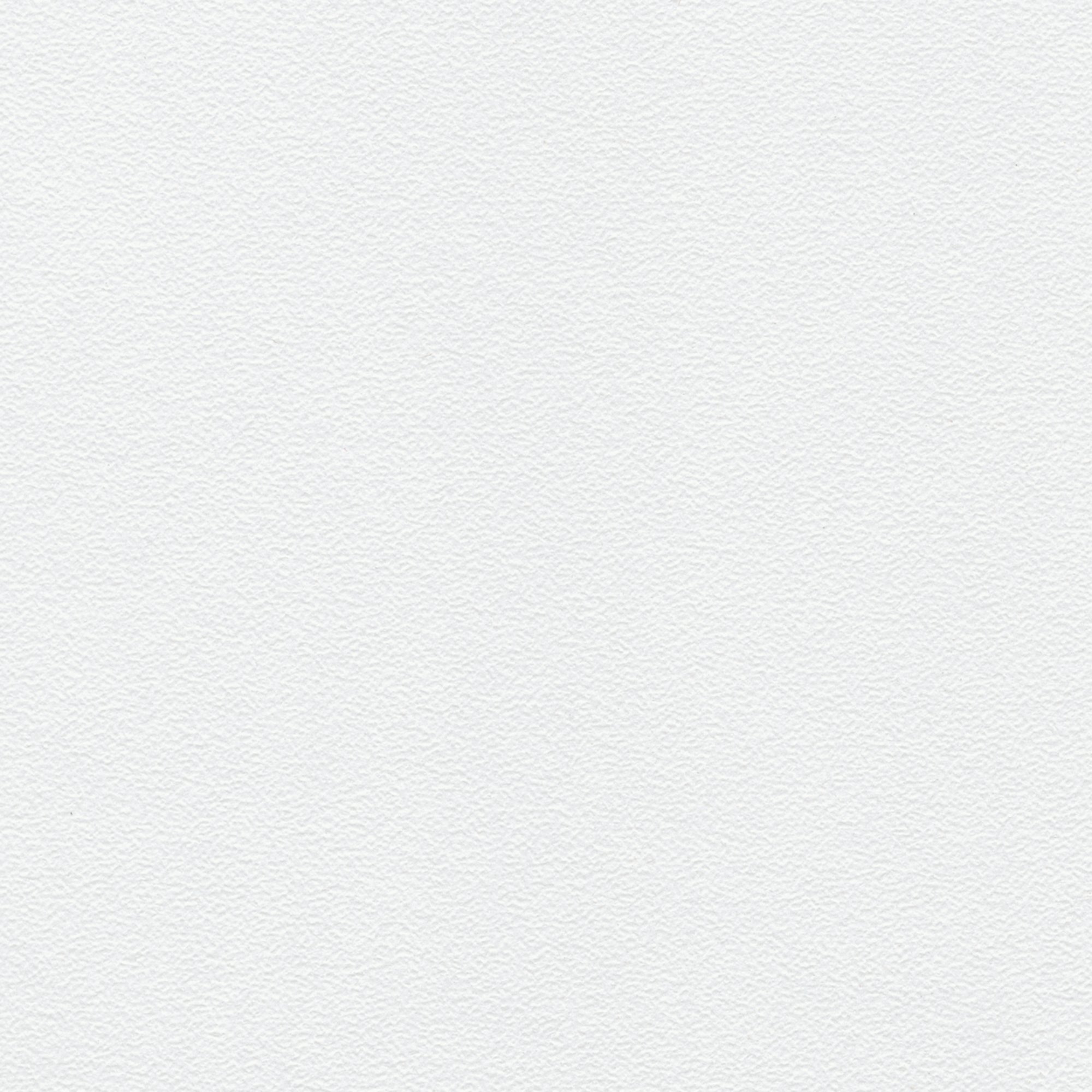 U575 PE  Misty White 灰白色 珠面