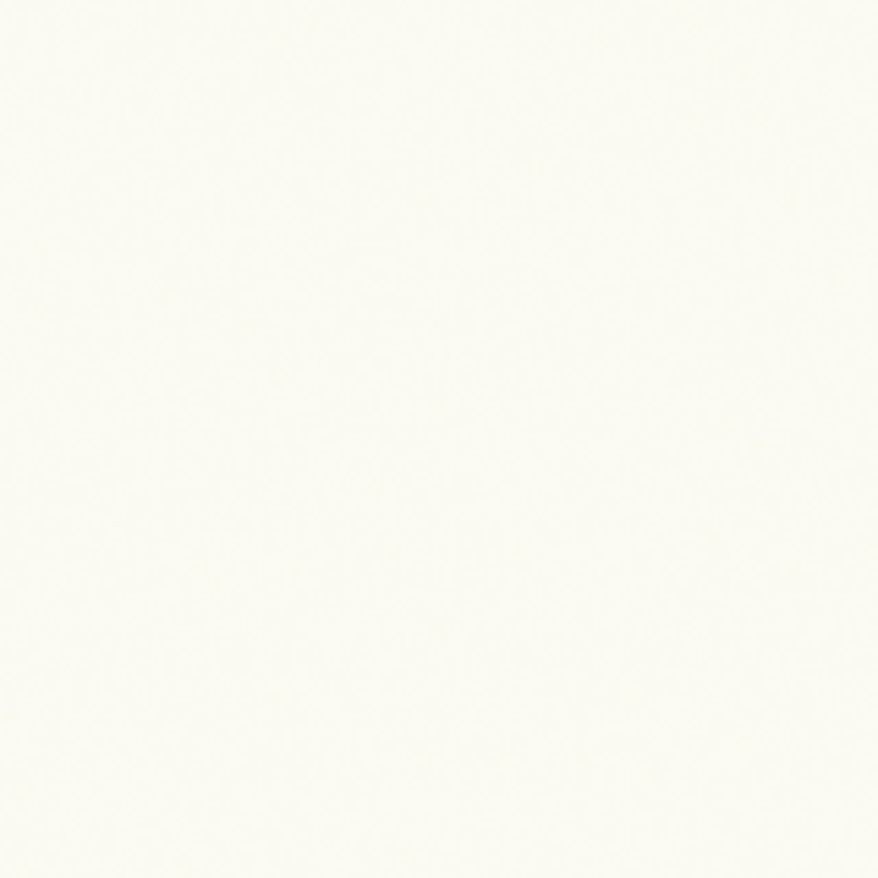 K110 SM  Interior White 裸白色 半哑