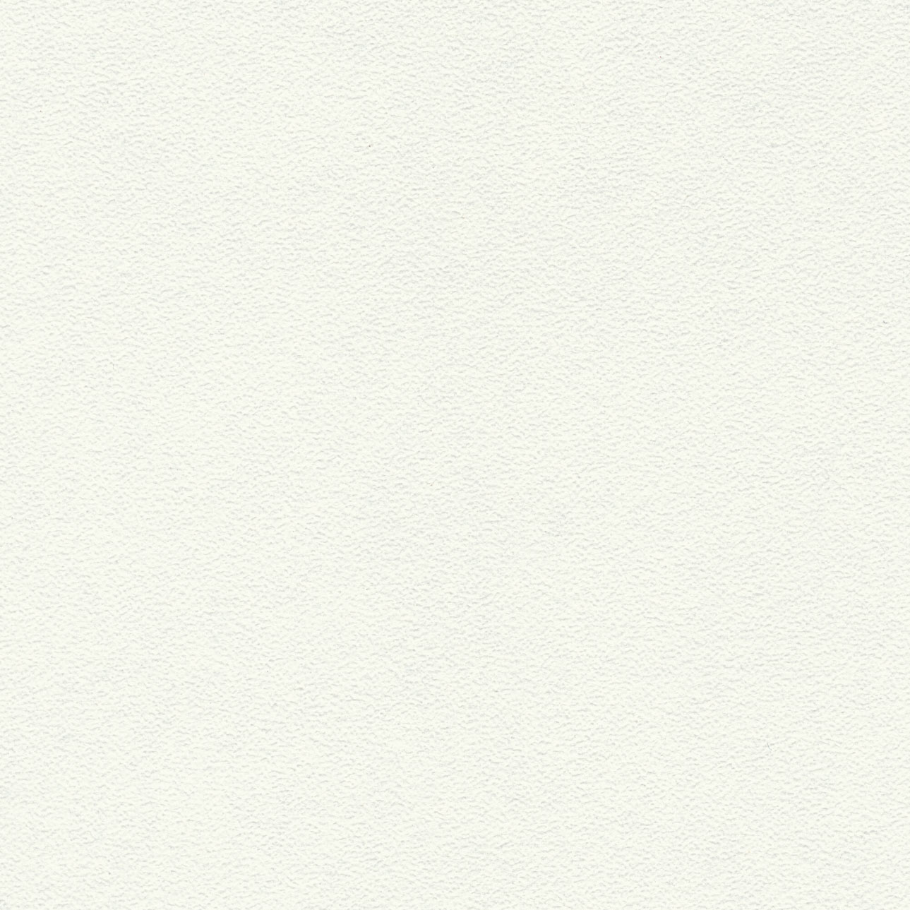 K110 PE  Interior White 裸白色 珠面