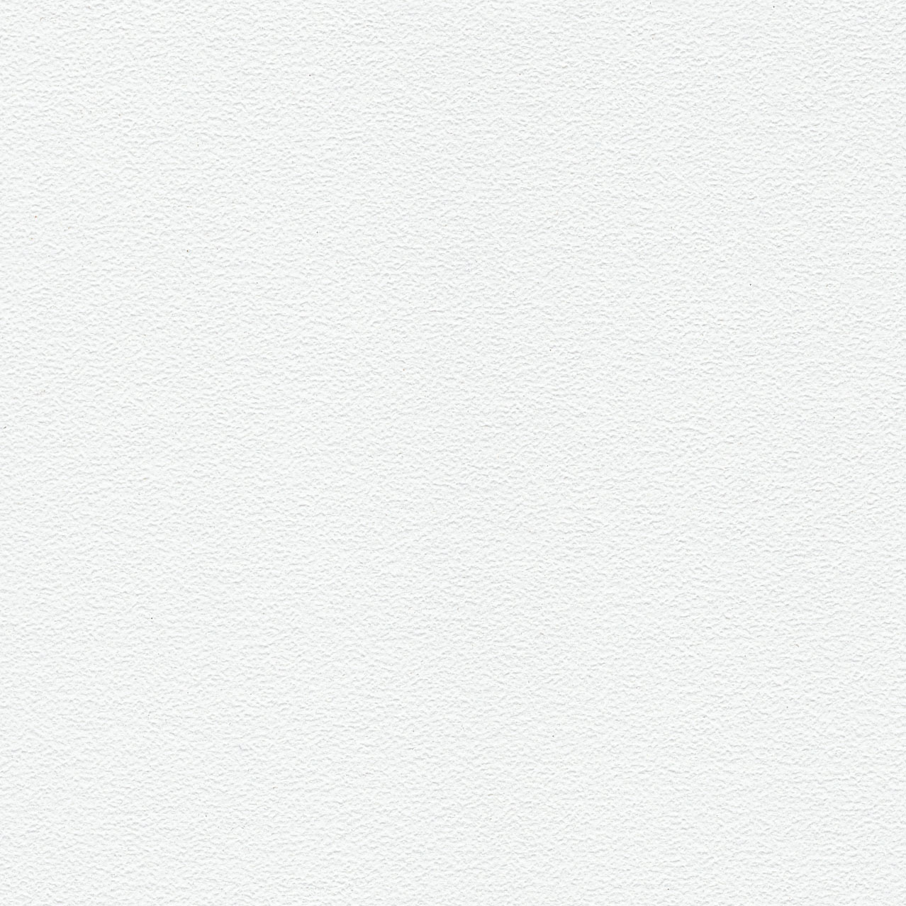 K100 PE  Edel White 雪绒花白 珠面