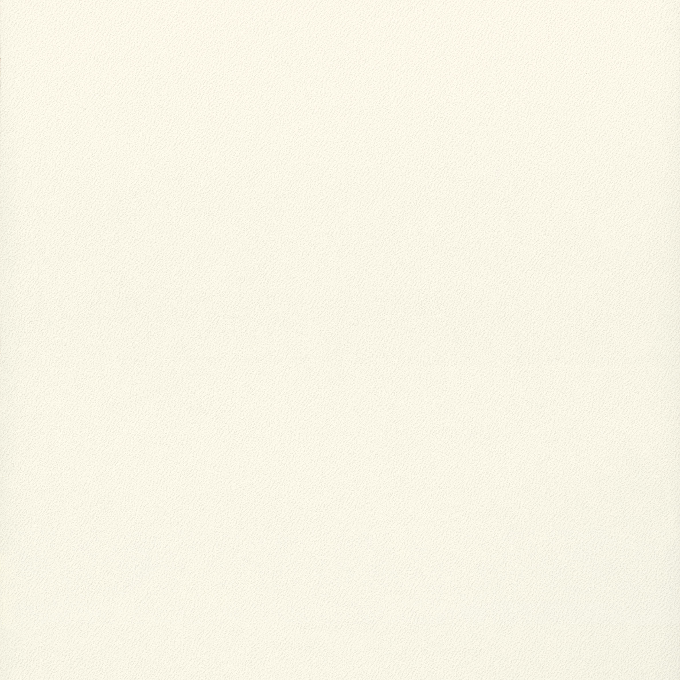 U566 PE  White 基本白 珠面