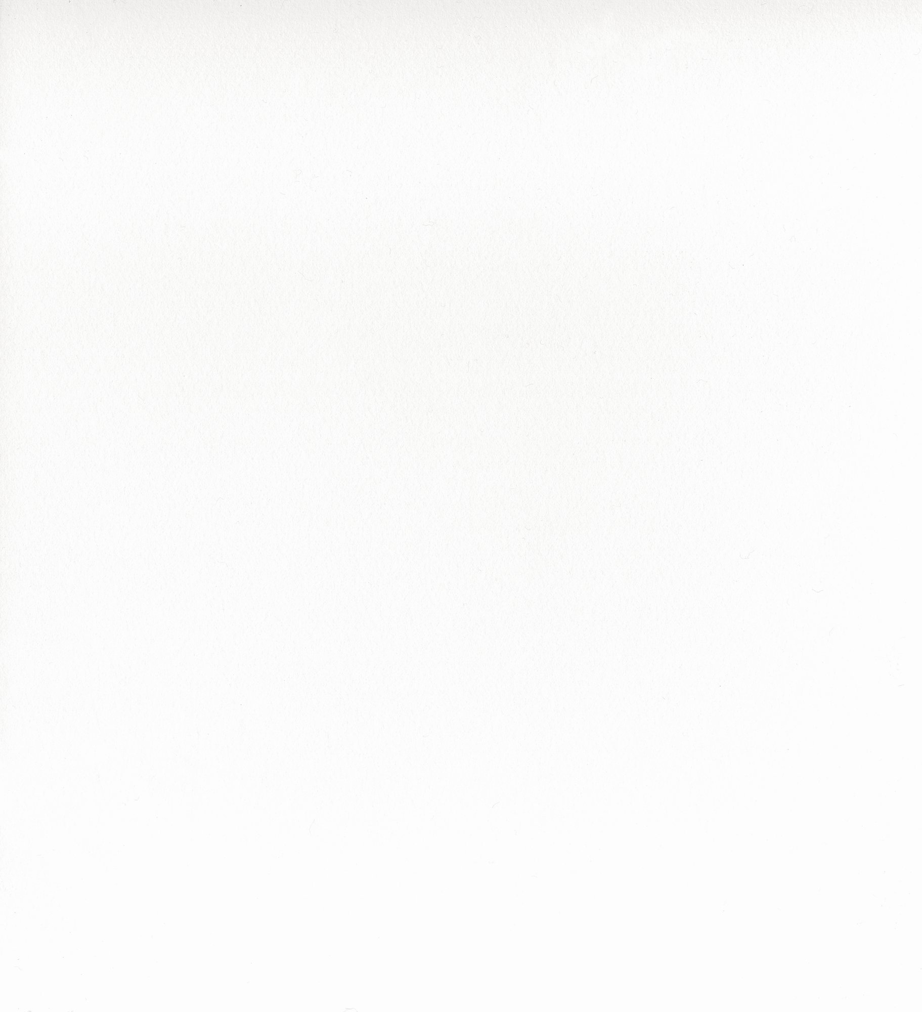 U8681 VL  White Alaska 阿拉斯加白