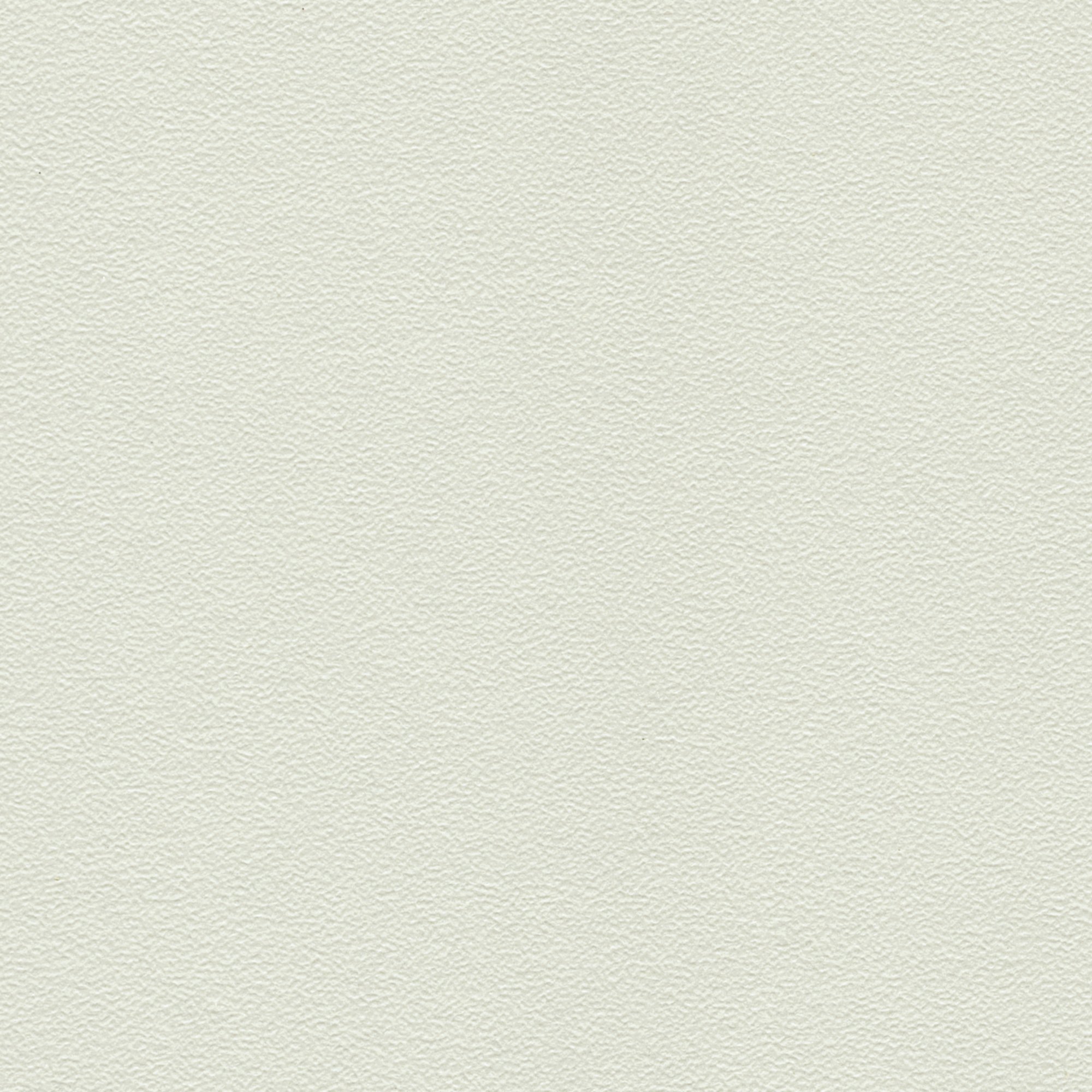 U161 PE  Pale Grey 柔灰色 珠面