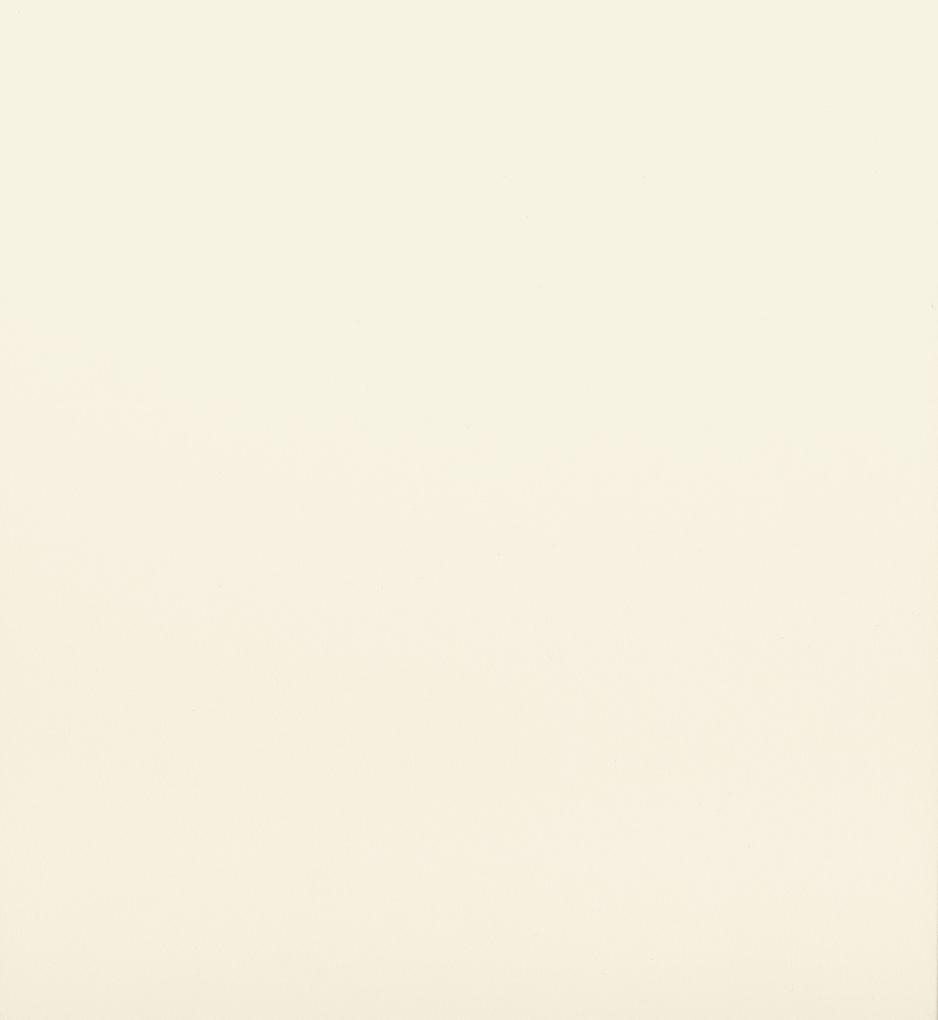 U3261 VL   Vanilla 奶油白