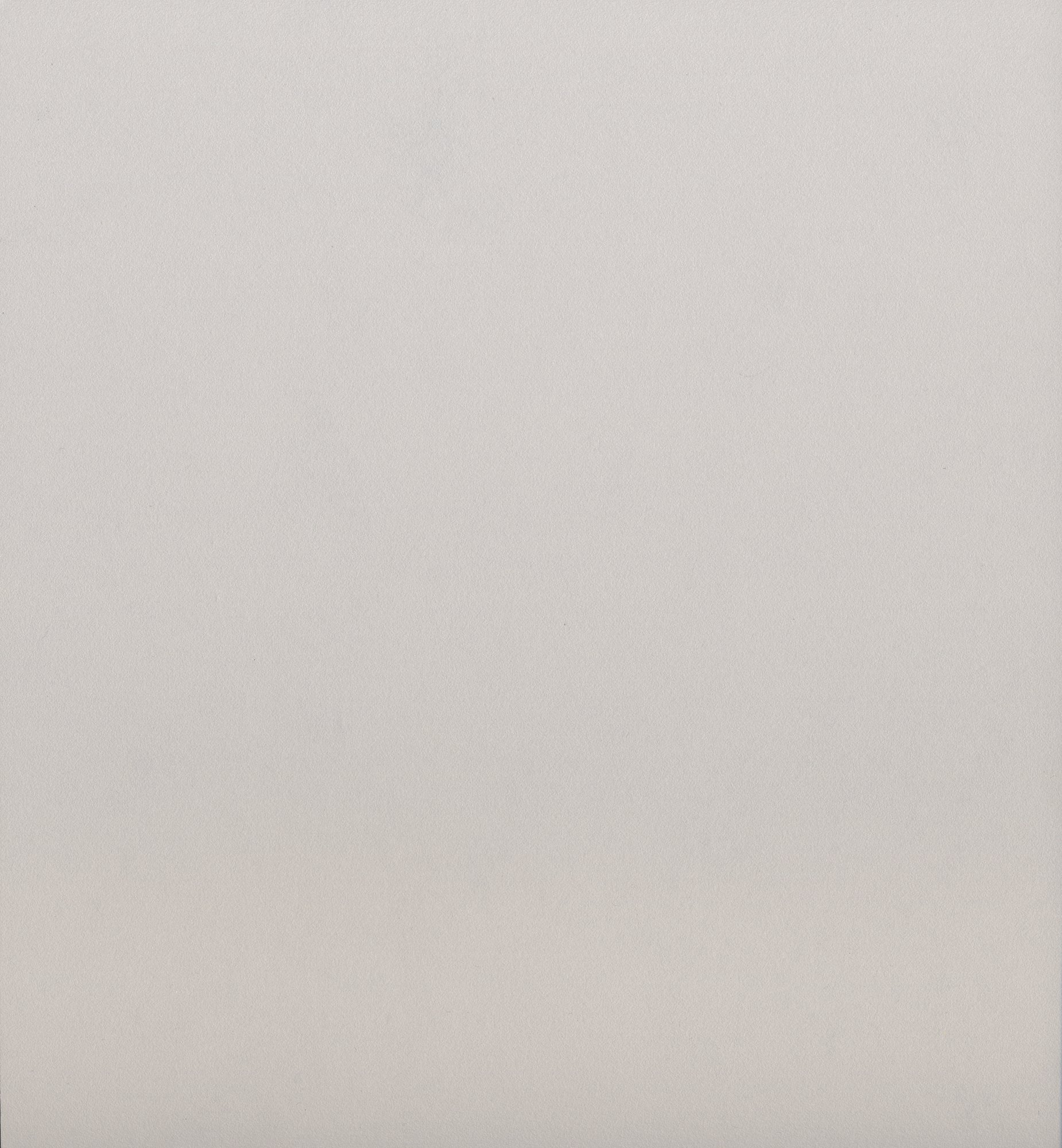 U2653 VL  Light Grey 尘灰色