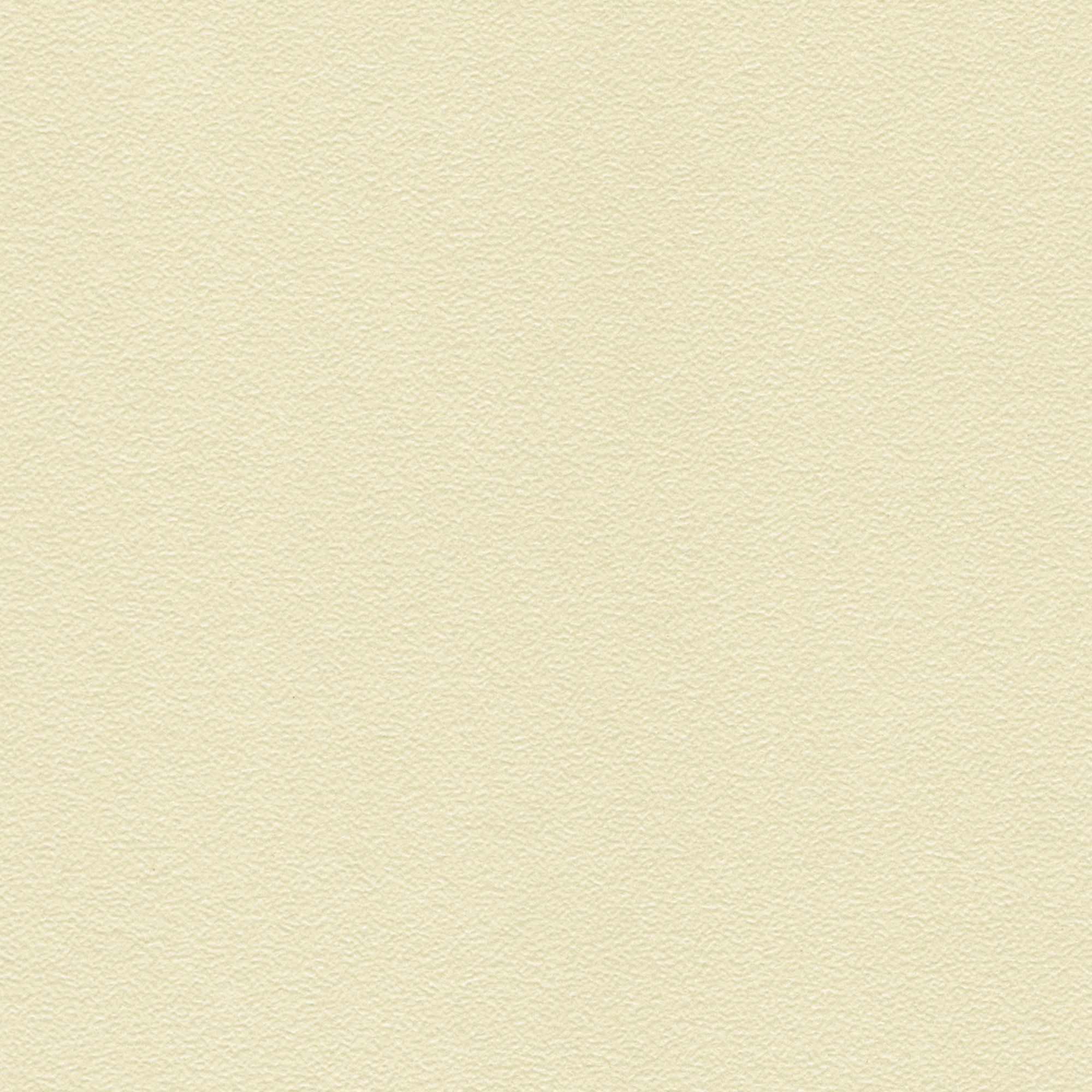 U522 PE   Beige 米色 珠面