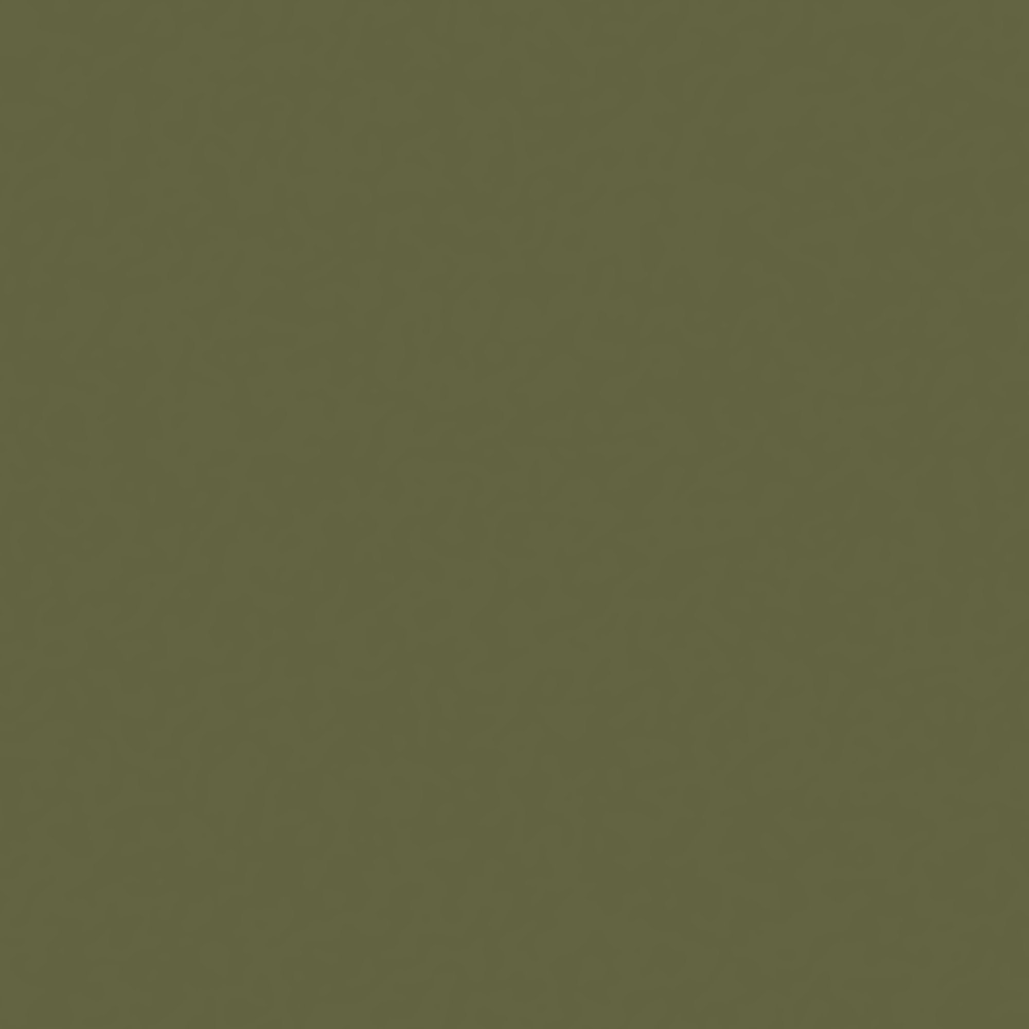 U2508 VL    Olive 橄榄绿