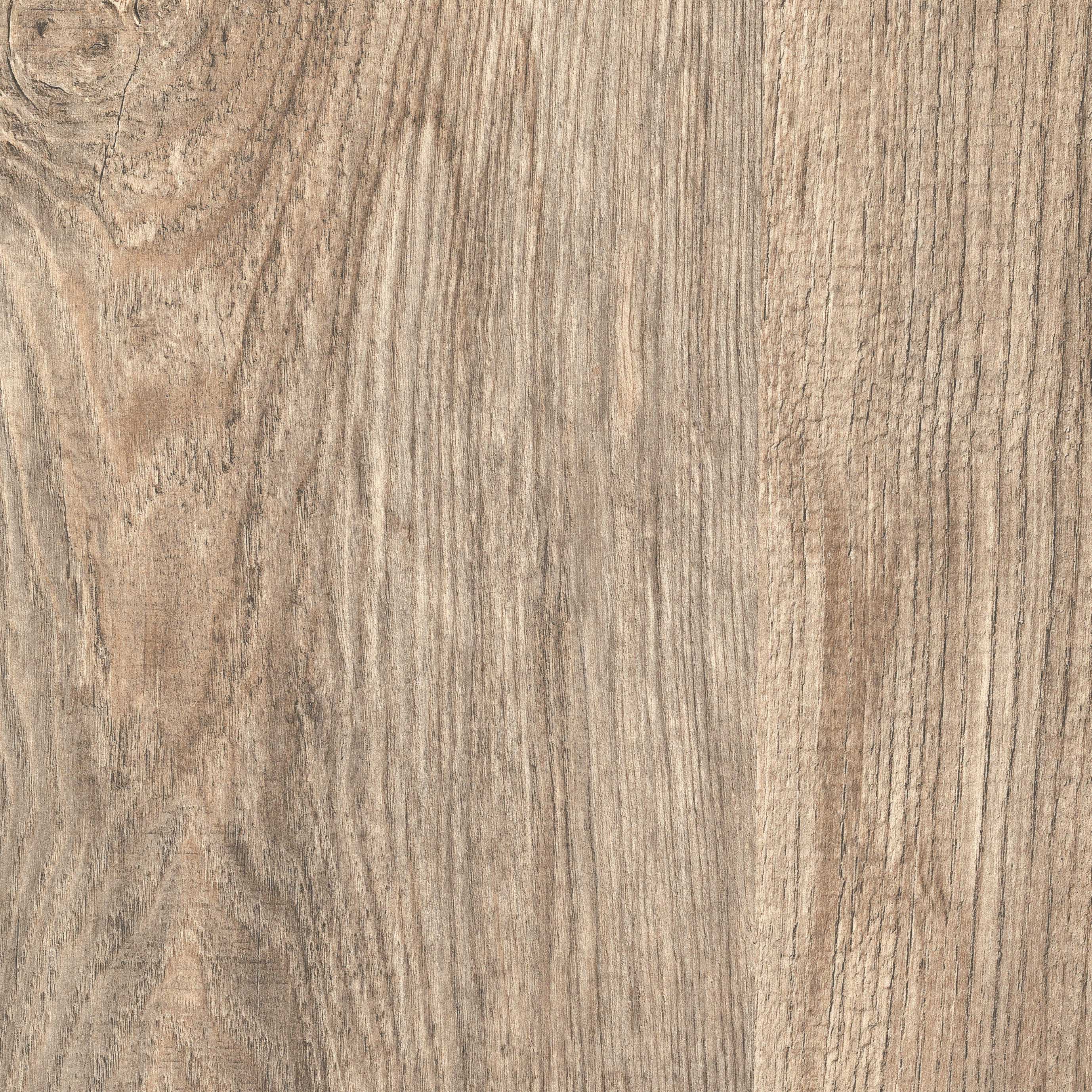 D4425 OV  Ash Grey  浅灰色木纹