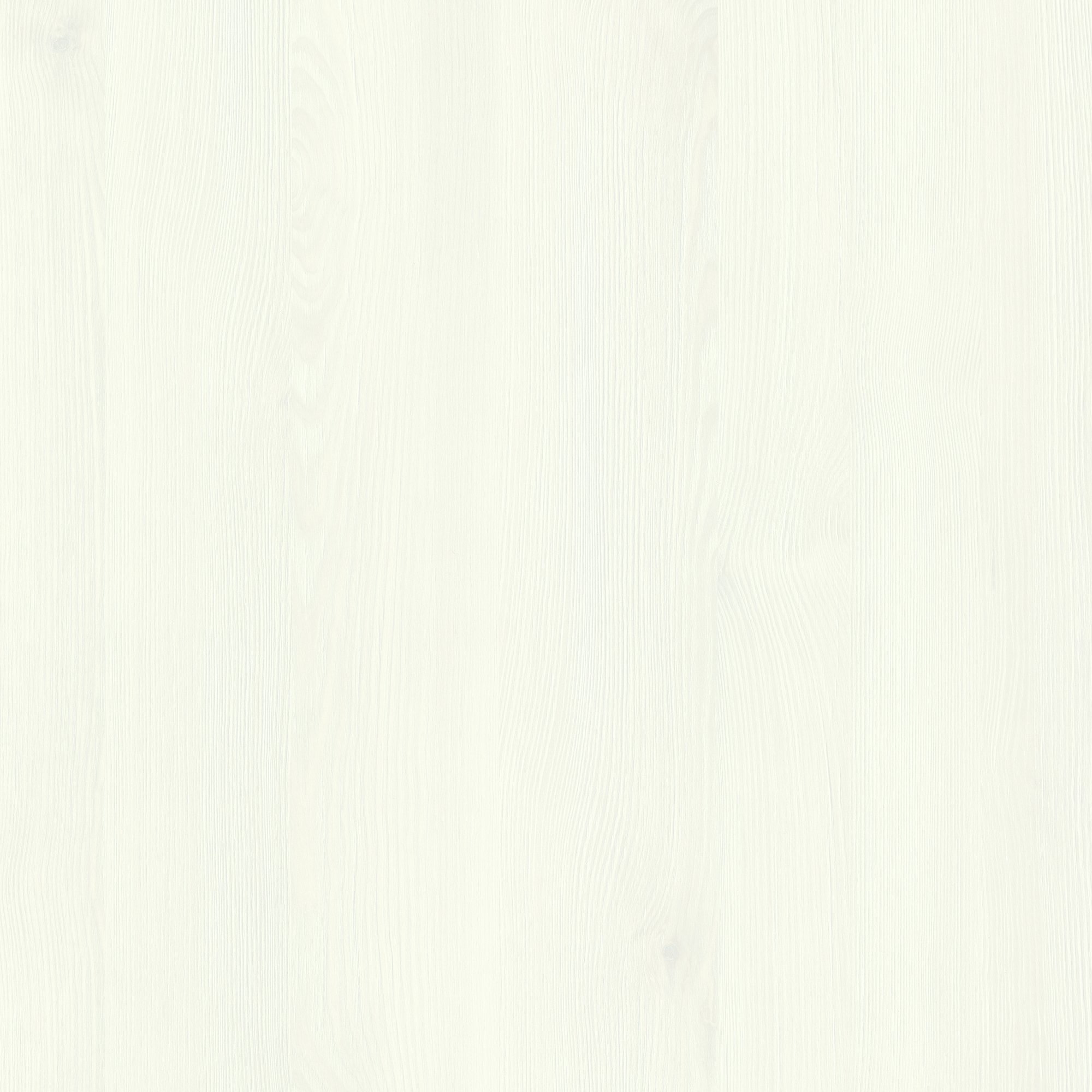 D5288 SD  White Spruce 白色云杉