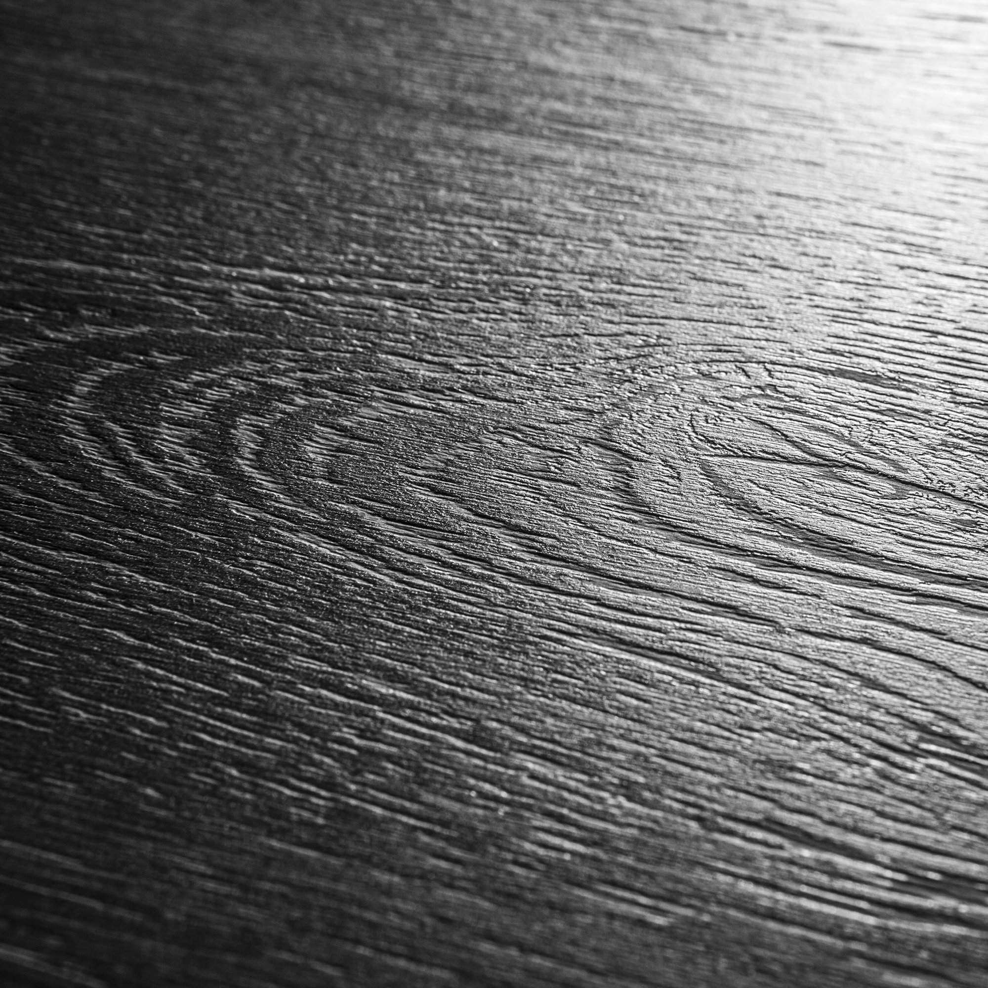 D5288 SD  White Spruce 白色云杉