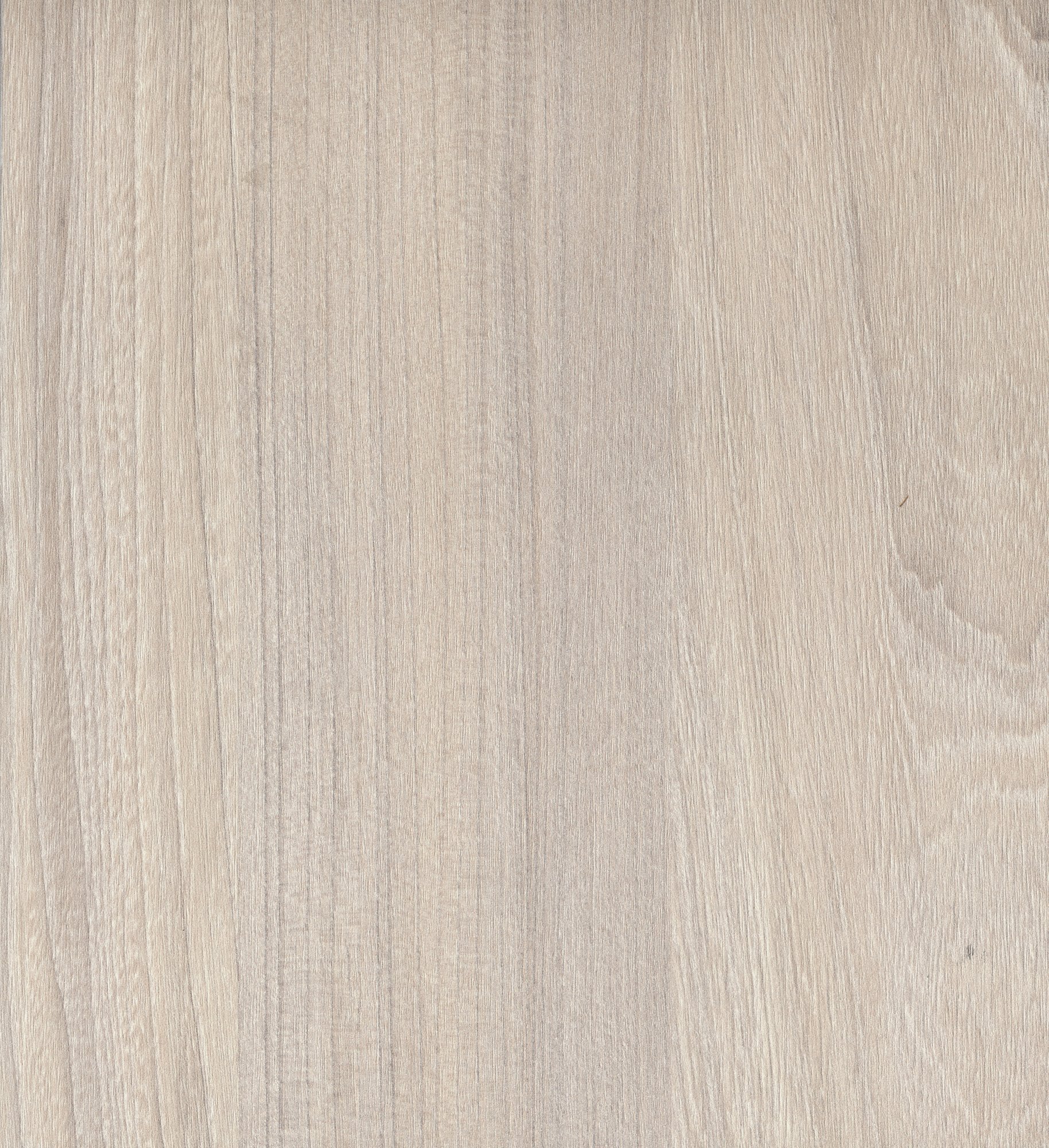 D2541 NA  Swiss Elm Cold 冷色瑞士榆木