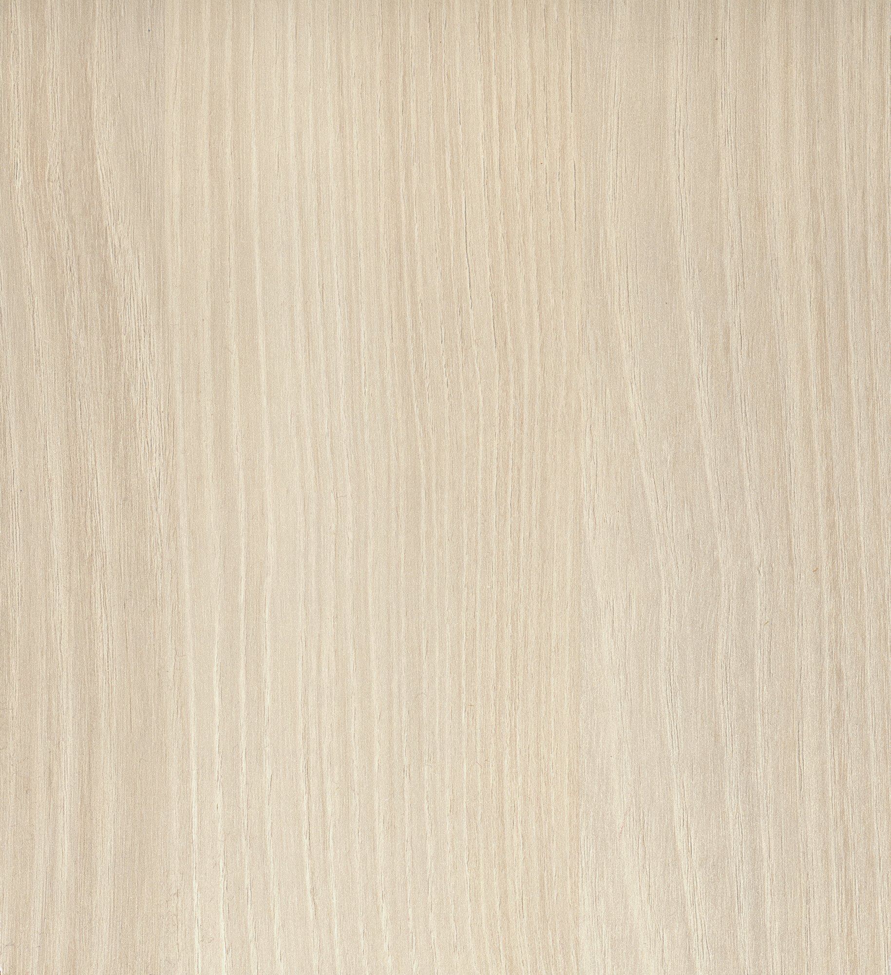 D2293 VL  Acacia Cream 奶霜色金合欢木