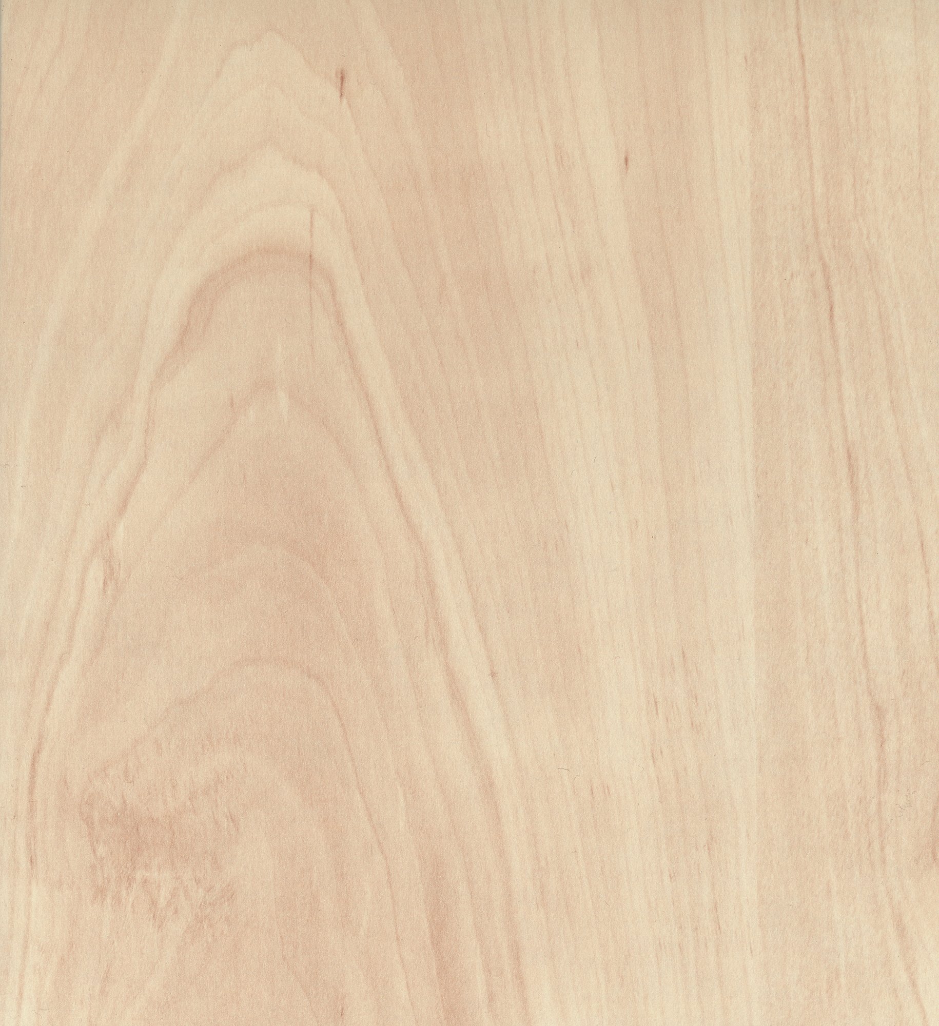 D1353 BS   Pear 野生梨心木纹