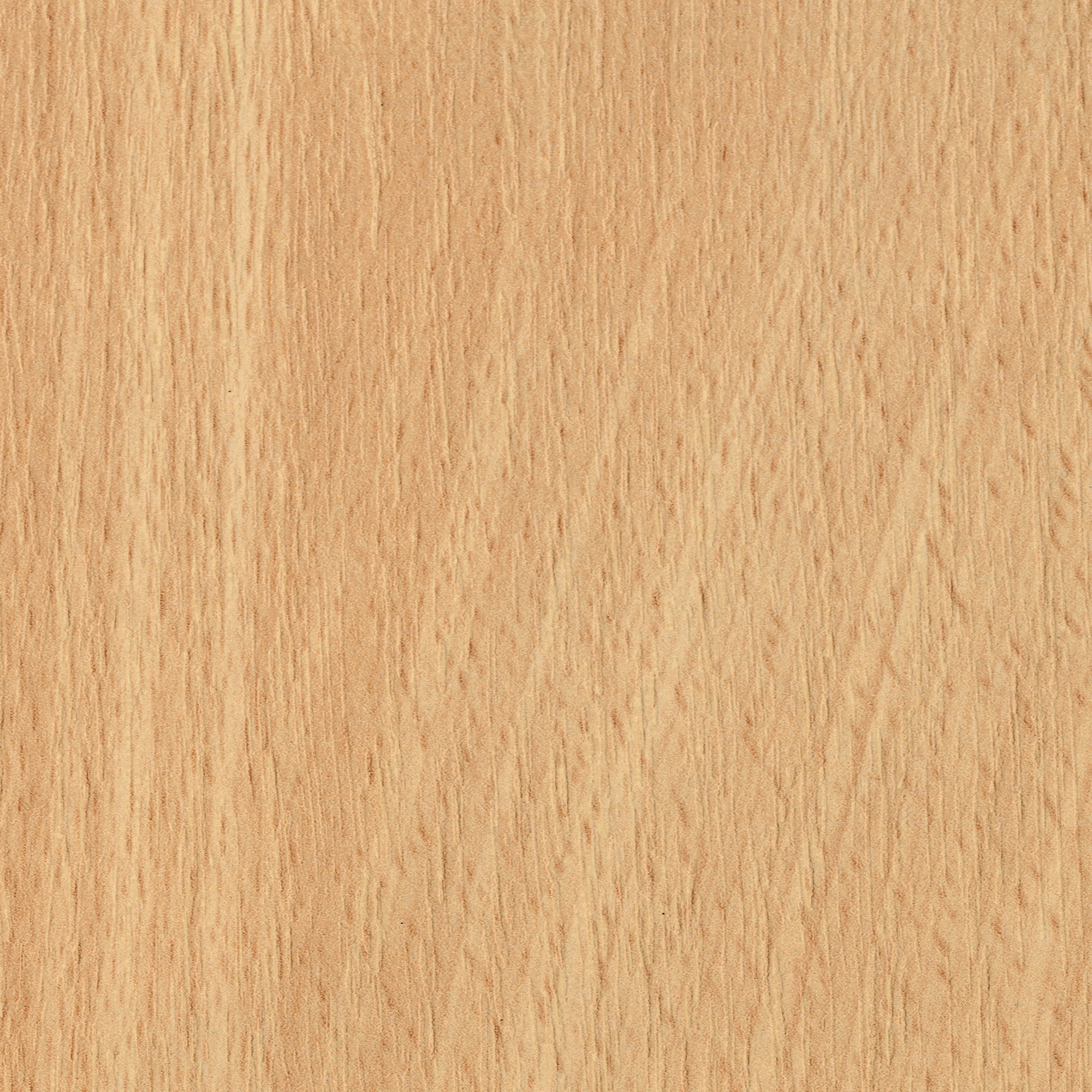 D391 PR  Light Beech 浅色山毛榉