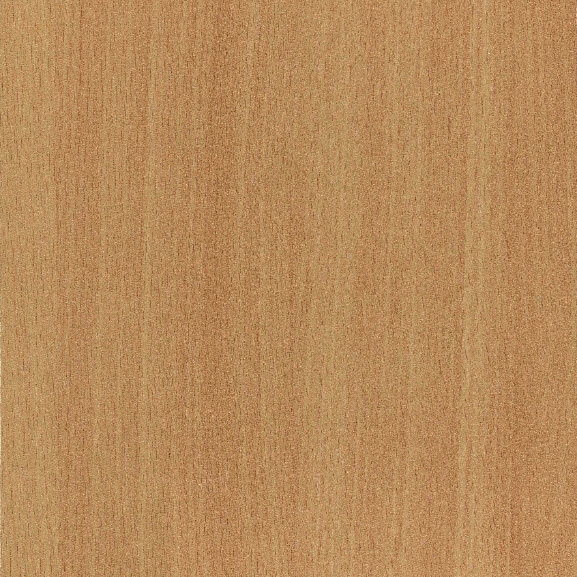 D381 PR   Beech 本色山毛榉