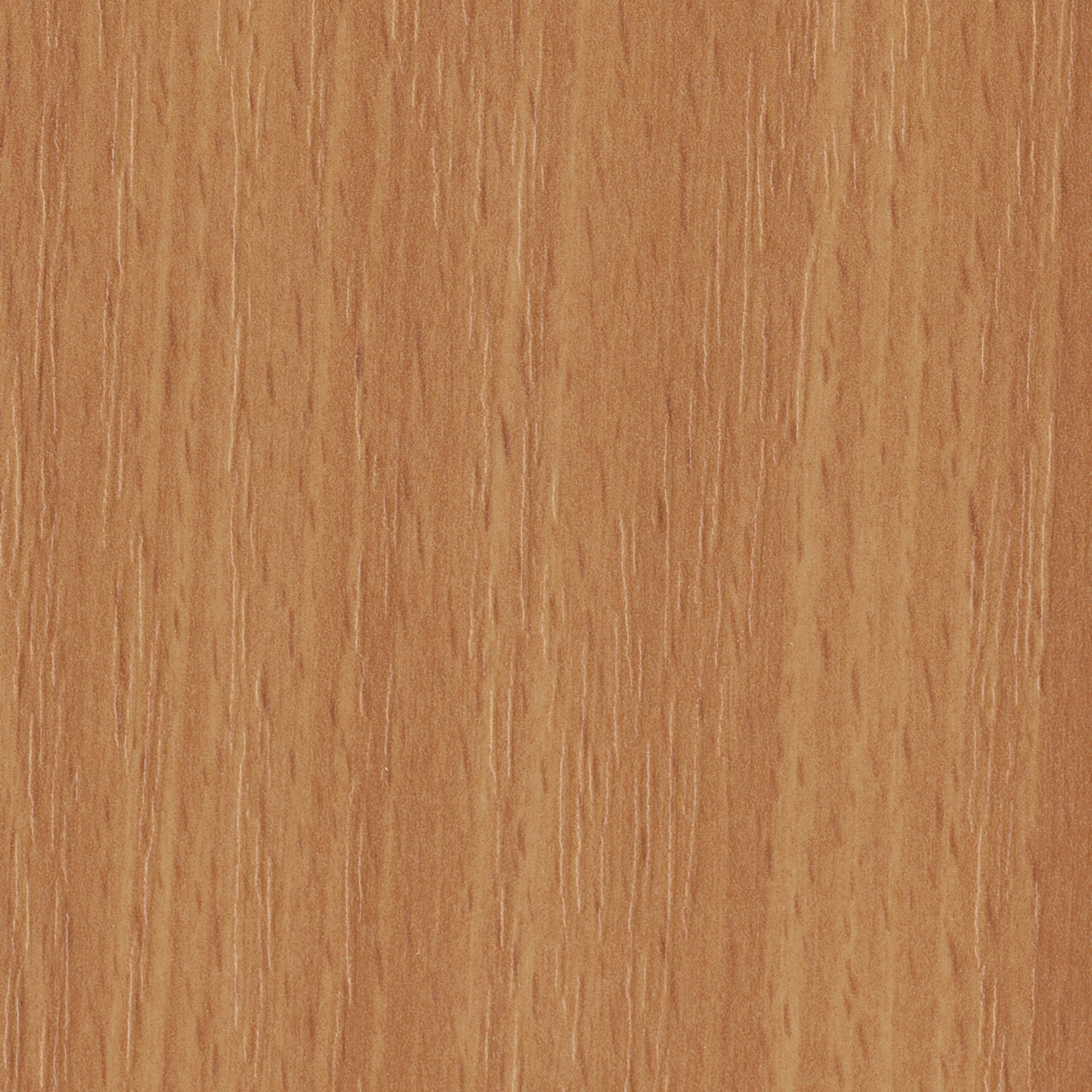 D382 PR    Red Beech 红色山毛榉