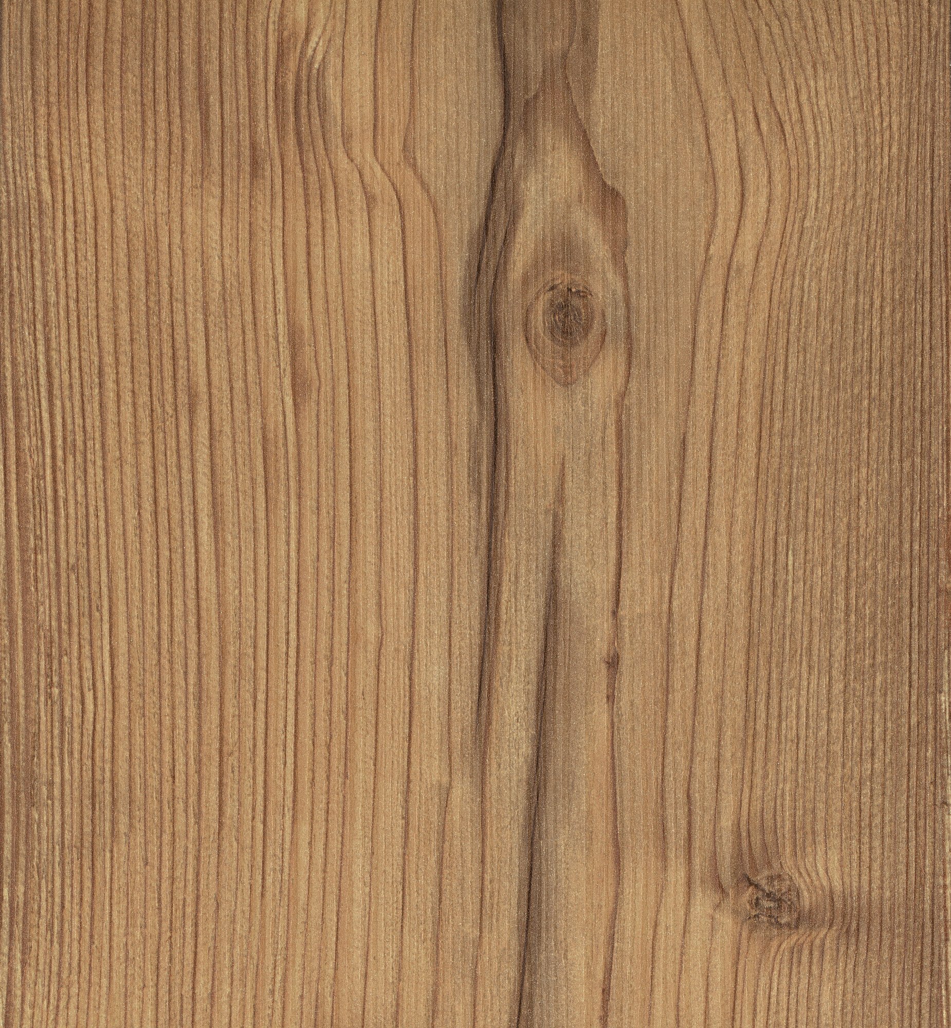 D3045 SD    Silver Fir 银色云杉