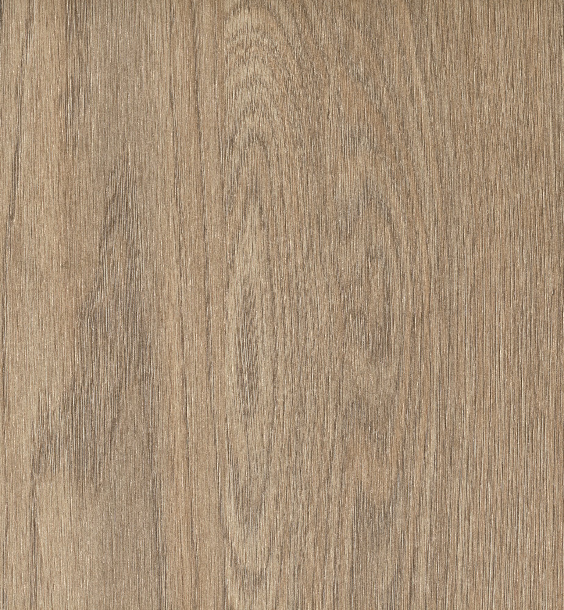 D3823 OW  New York Oak 纽约霍尔姆橡木