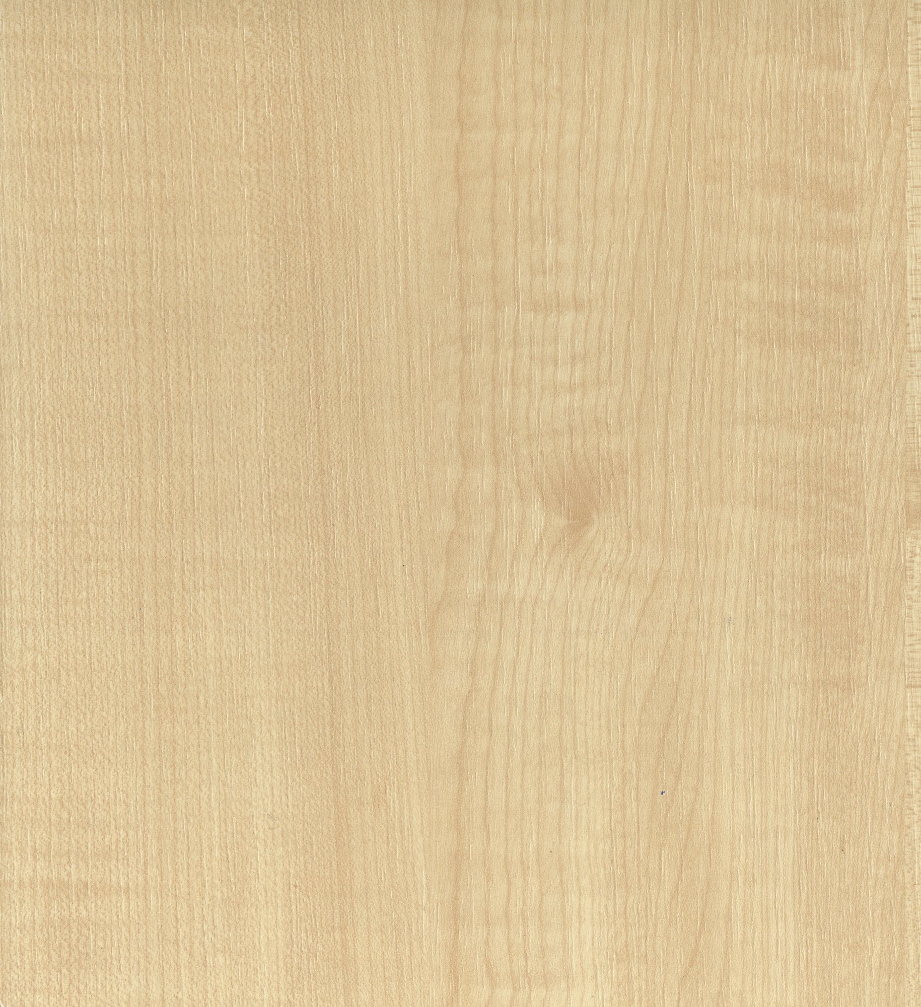 D375 BS  Natural Maple 自然枫木