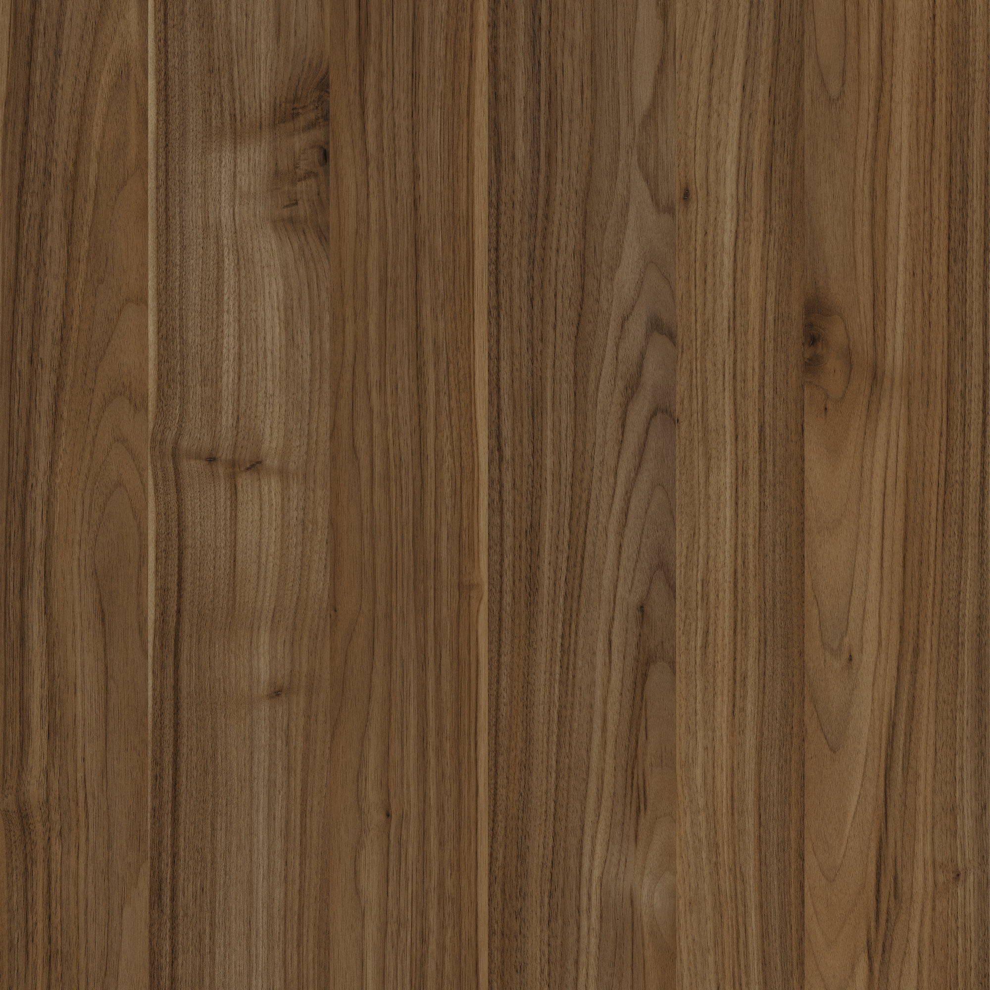 D4822 VL   Walnut Ambassador Terra 深棕色坚果木纹