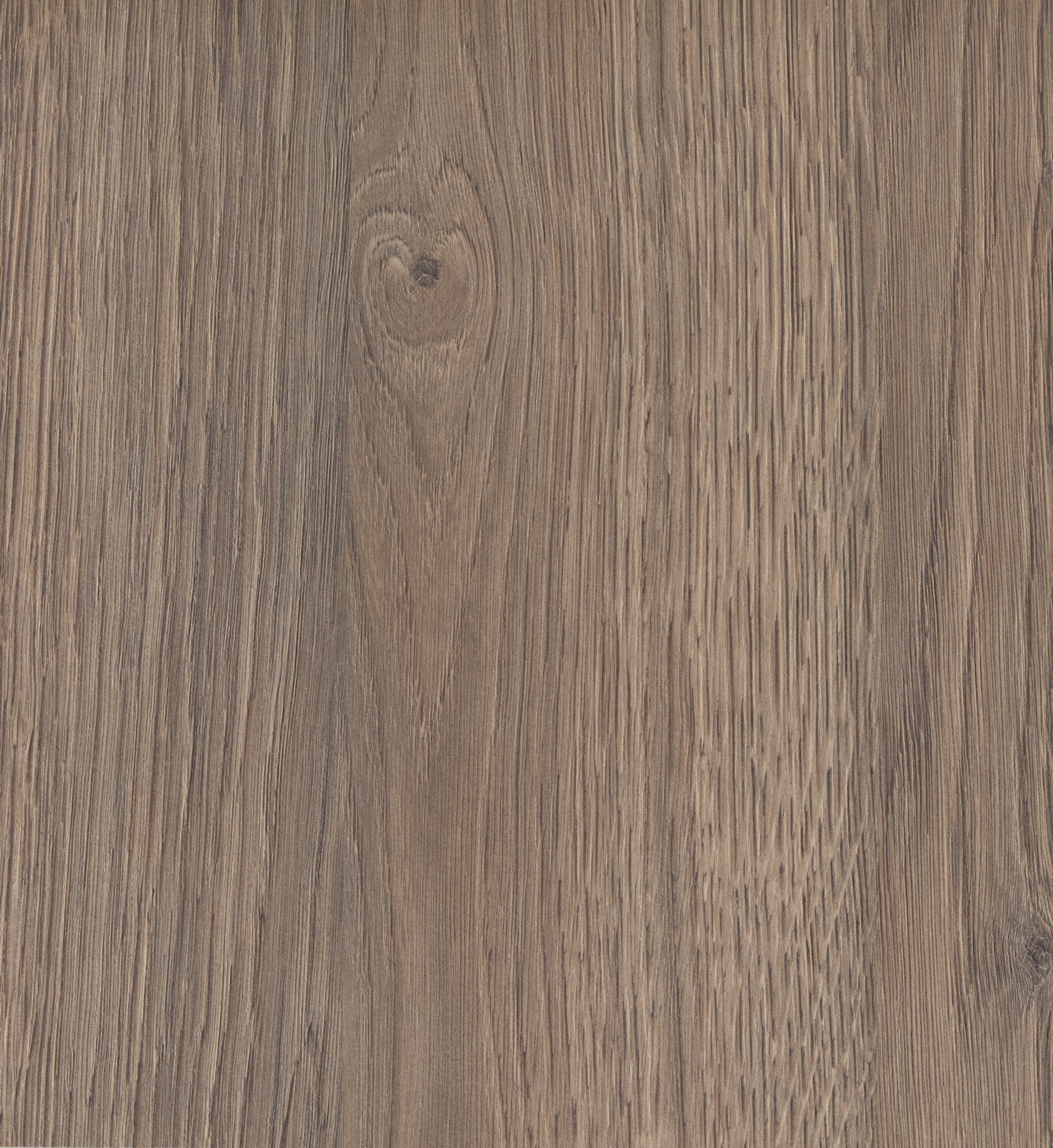 D3799 CL   Paris Oak 巴黎橡木