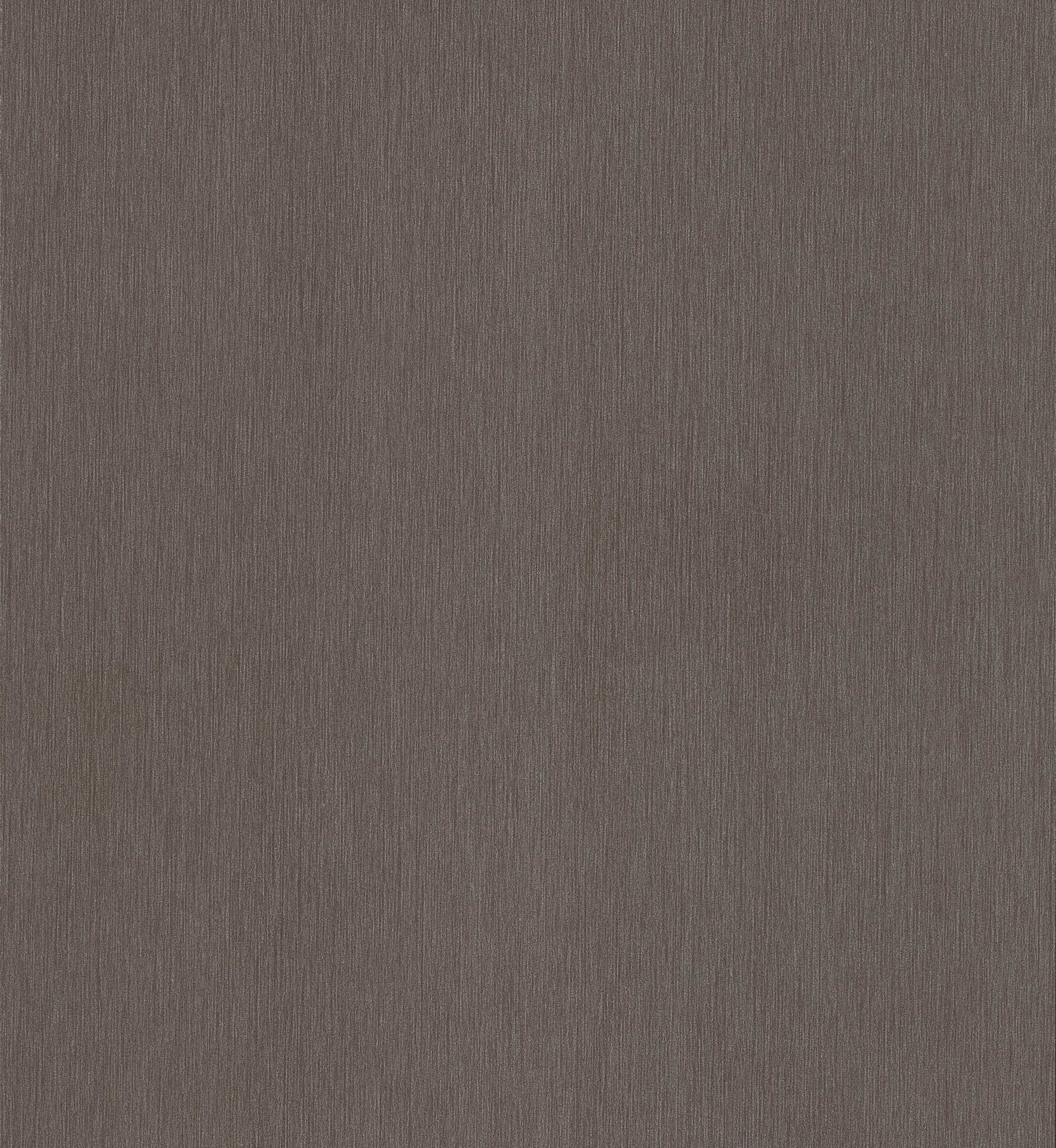 D4454 VL  Titan Taupe 金属褐色