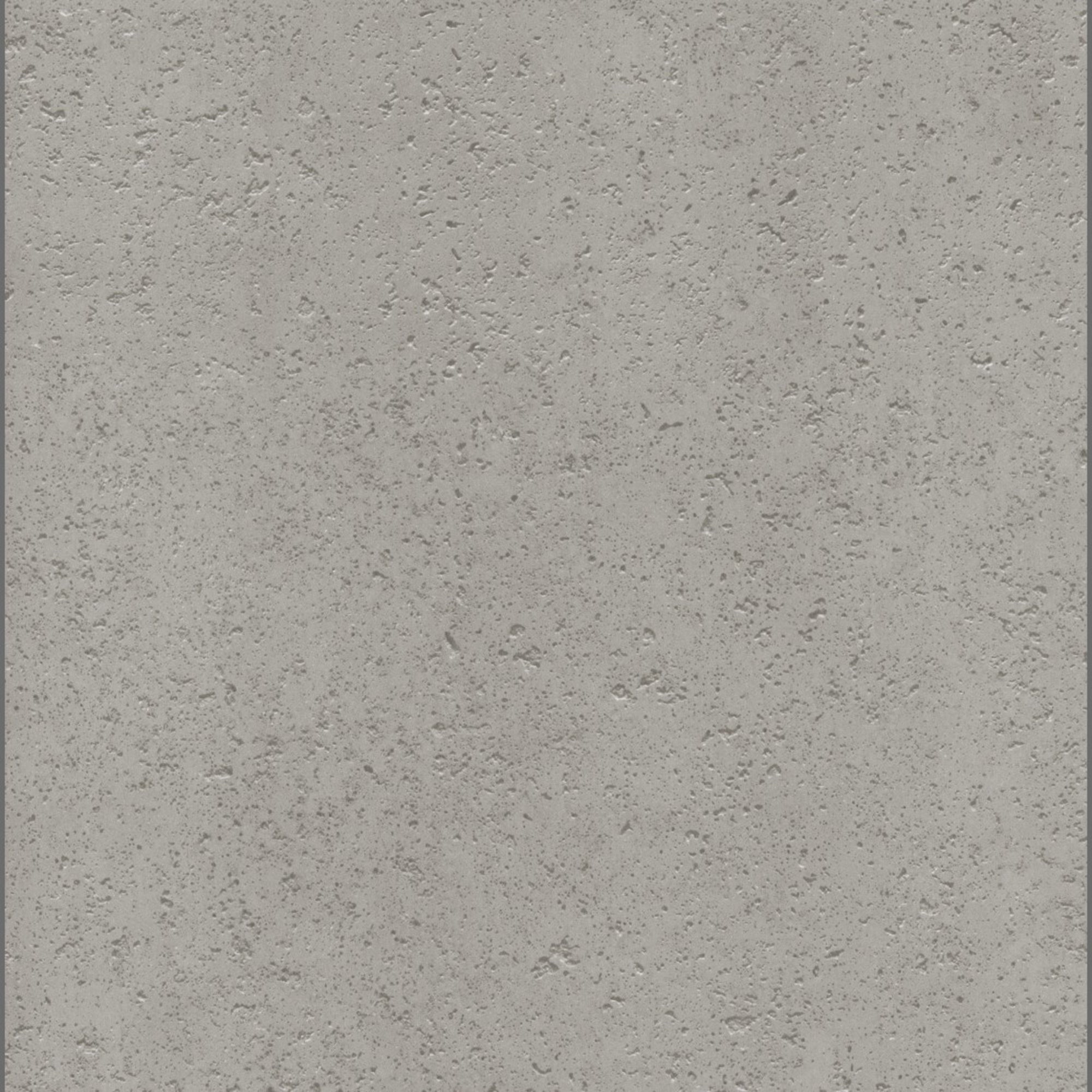 D2831 SX  Natural Concrete 自然灰