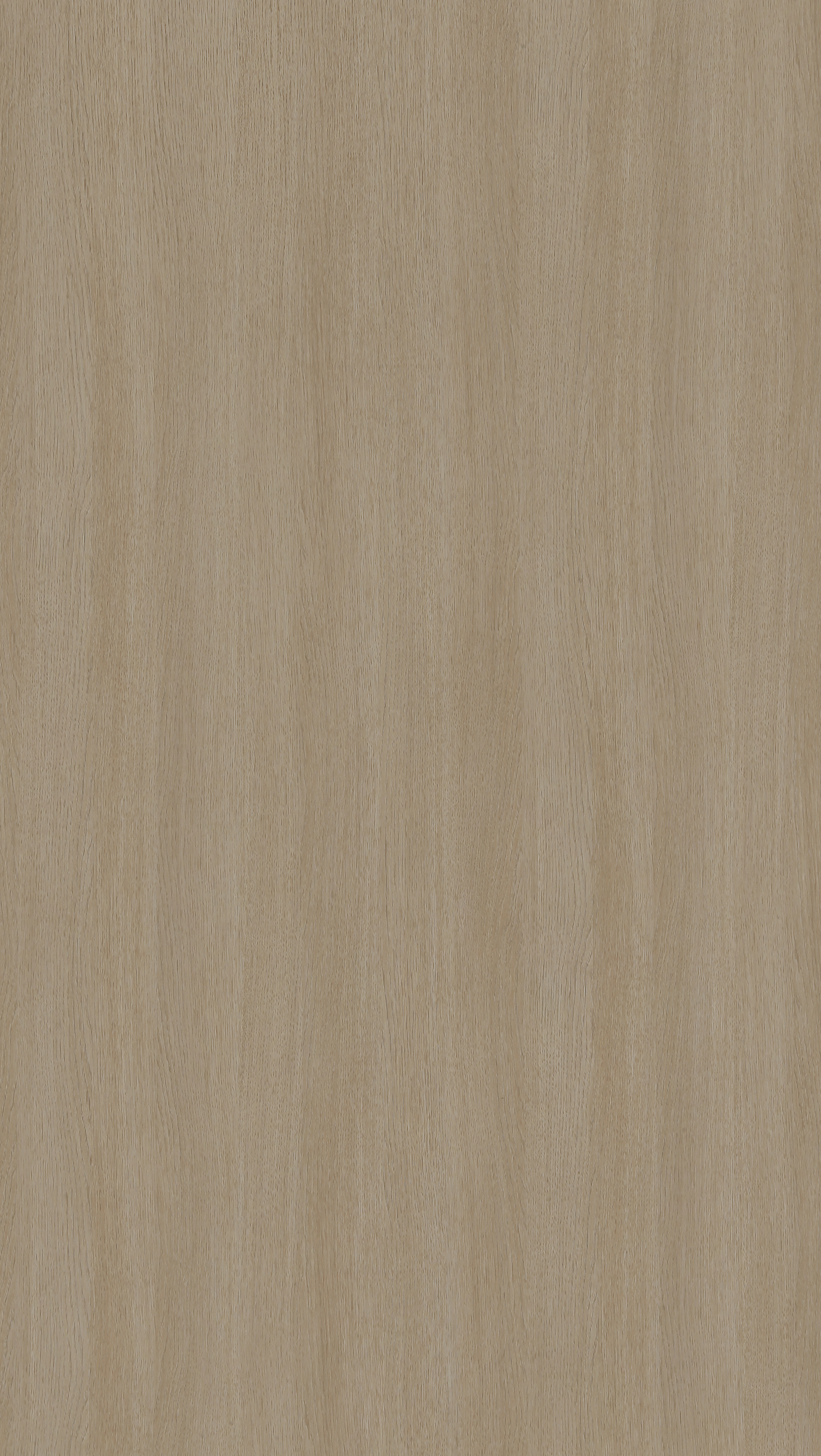 LZ377-3 澜珊橡木