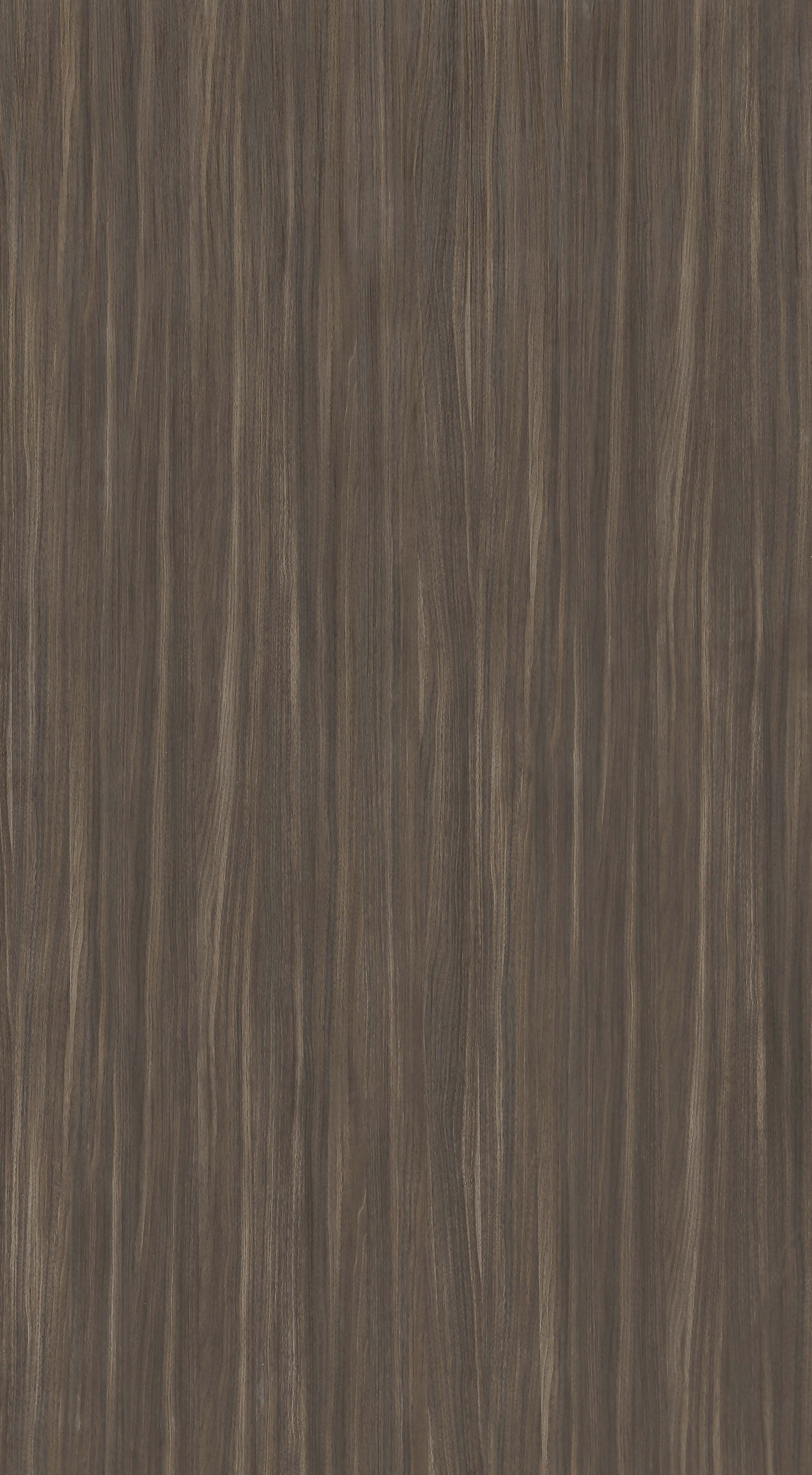 LZ384-5 牧森胡桃