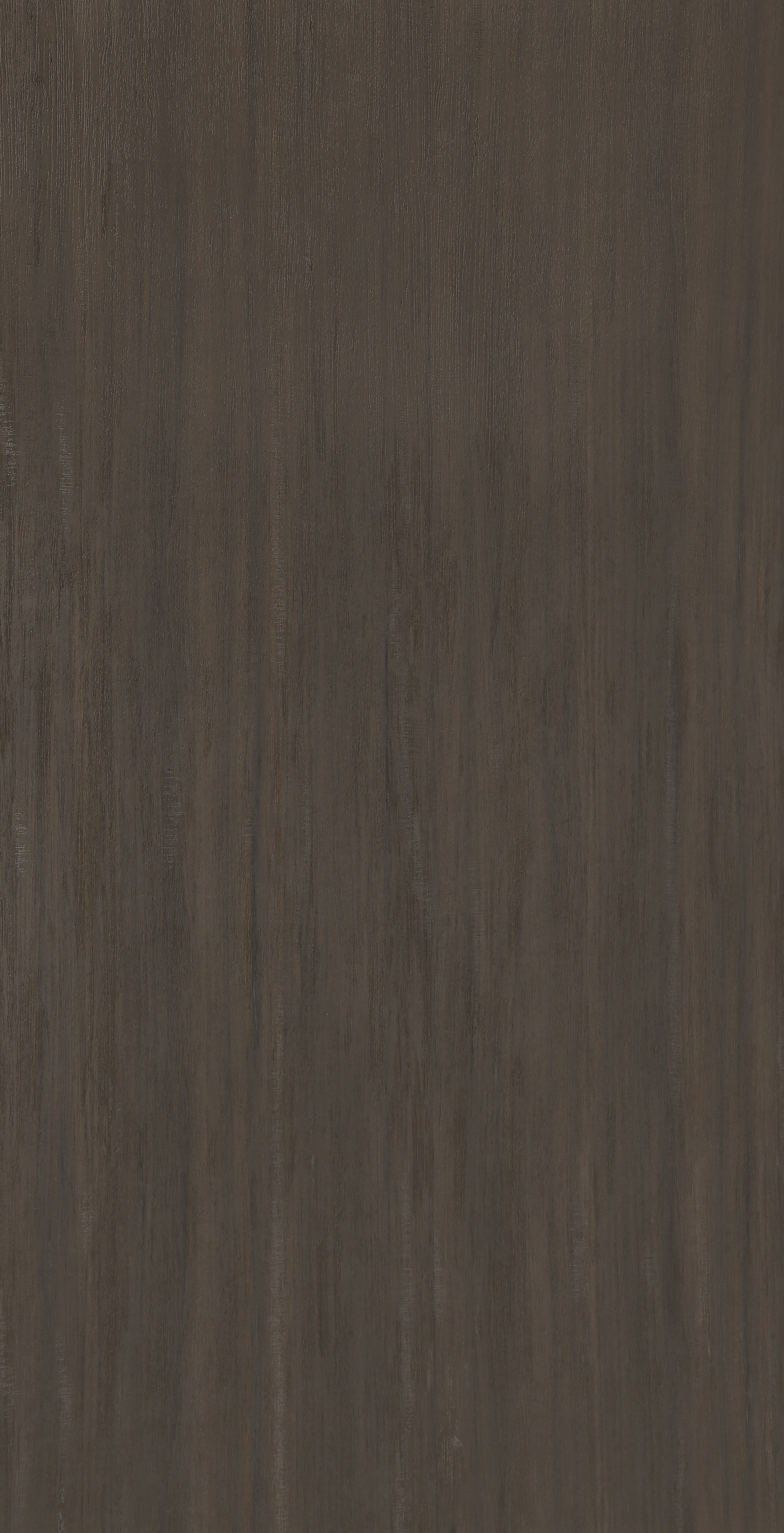 LZ831-2-P 风华秋沙