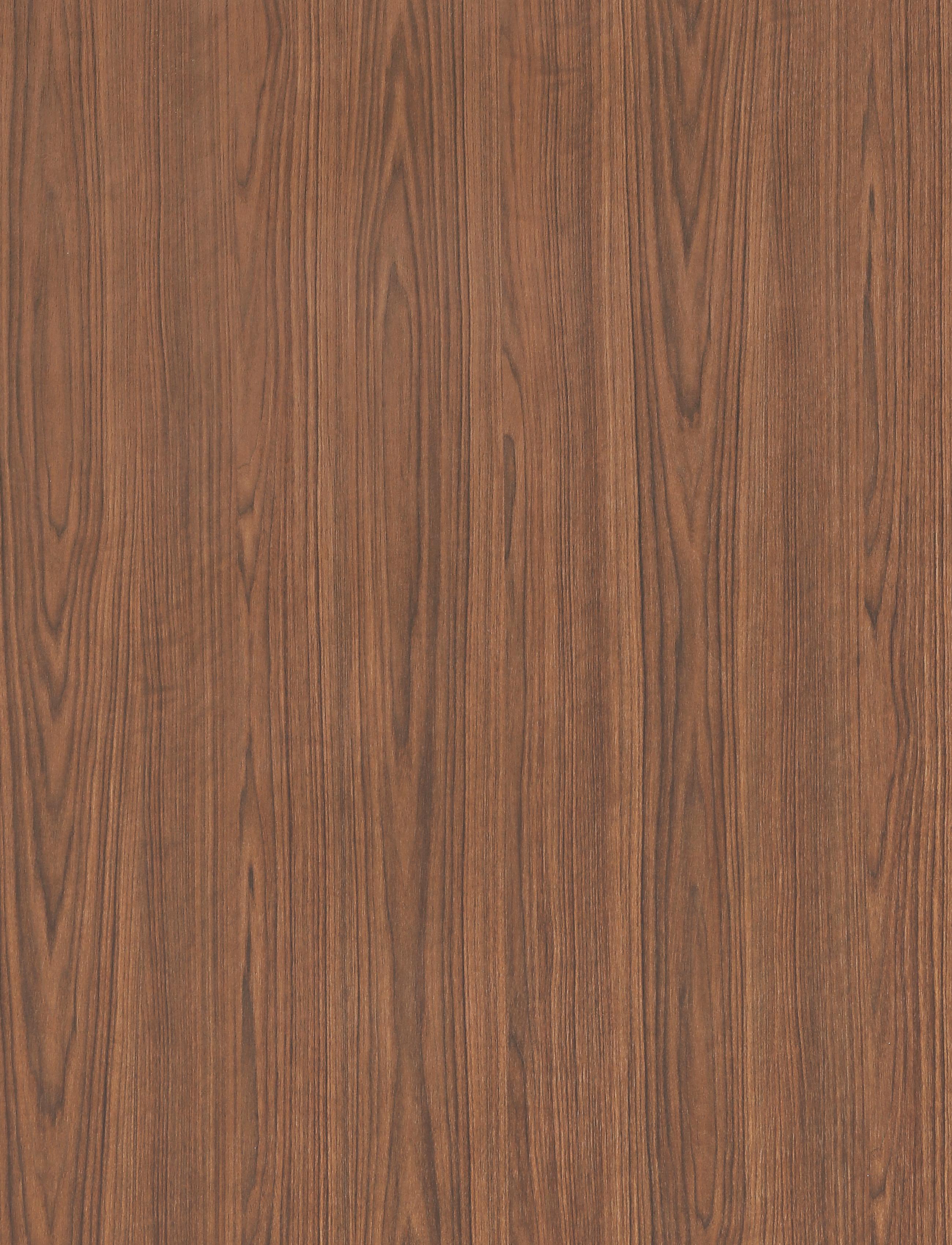 LZ783-2 眉黛依画