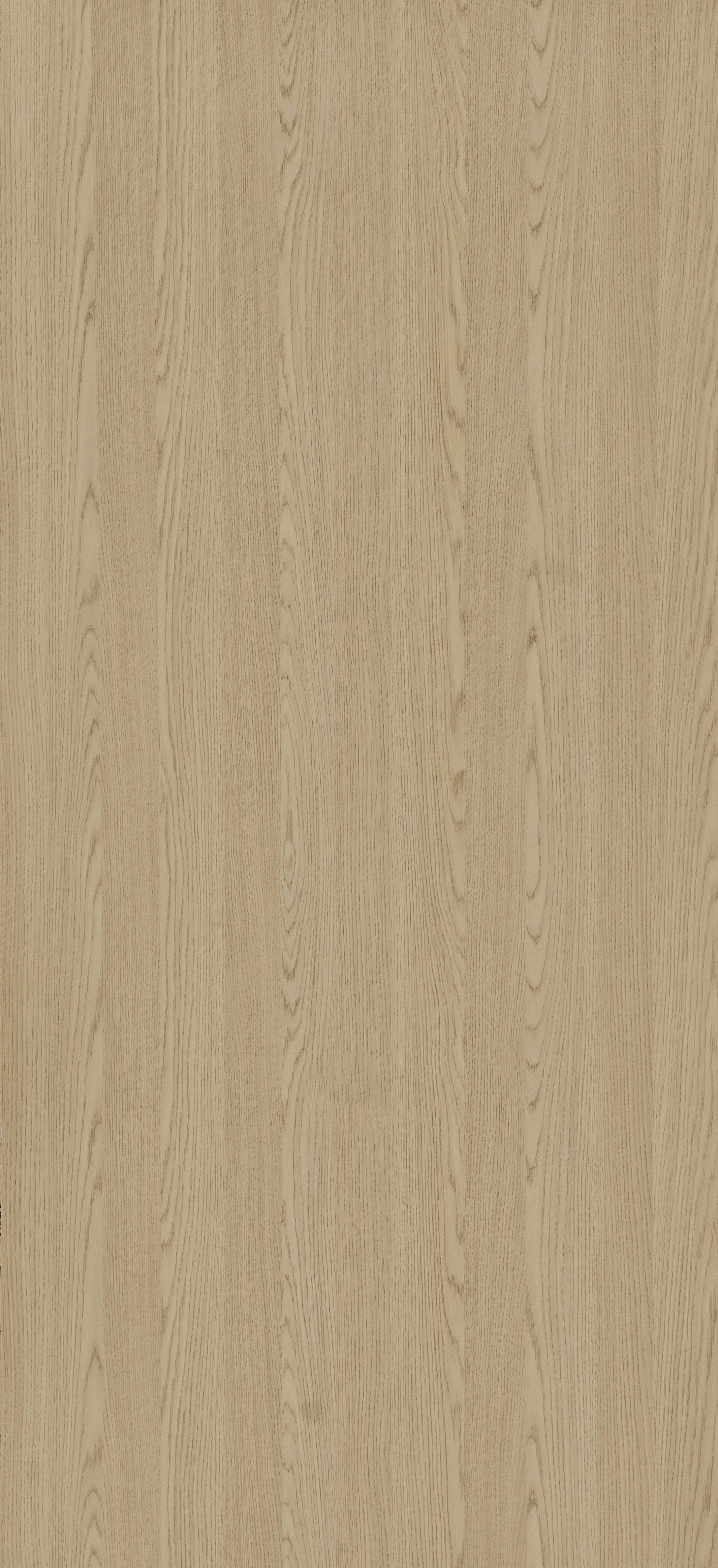 LZ9136 克洛伊橡木