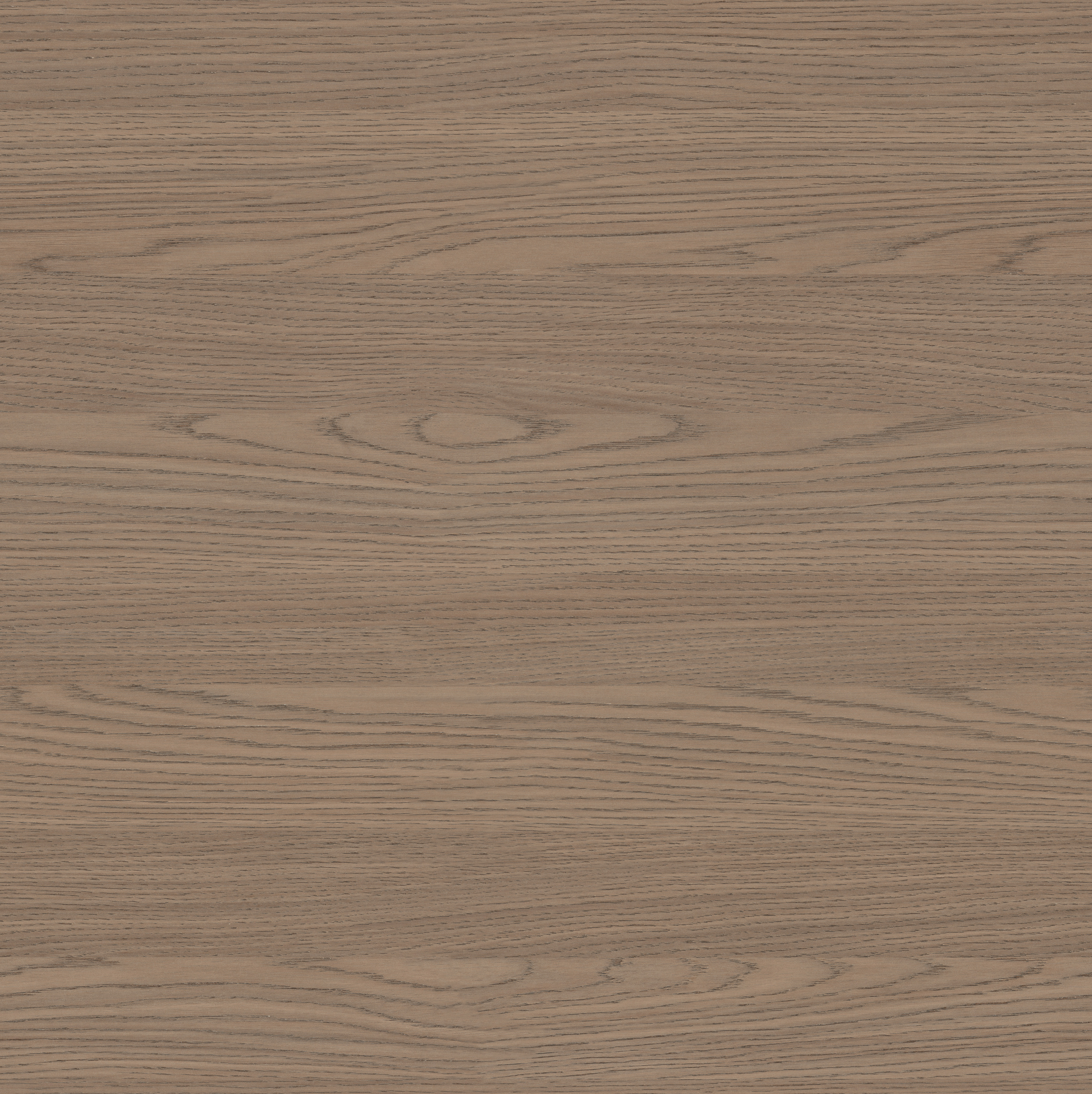 LZ9138 奥德利橡木