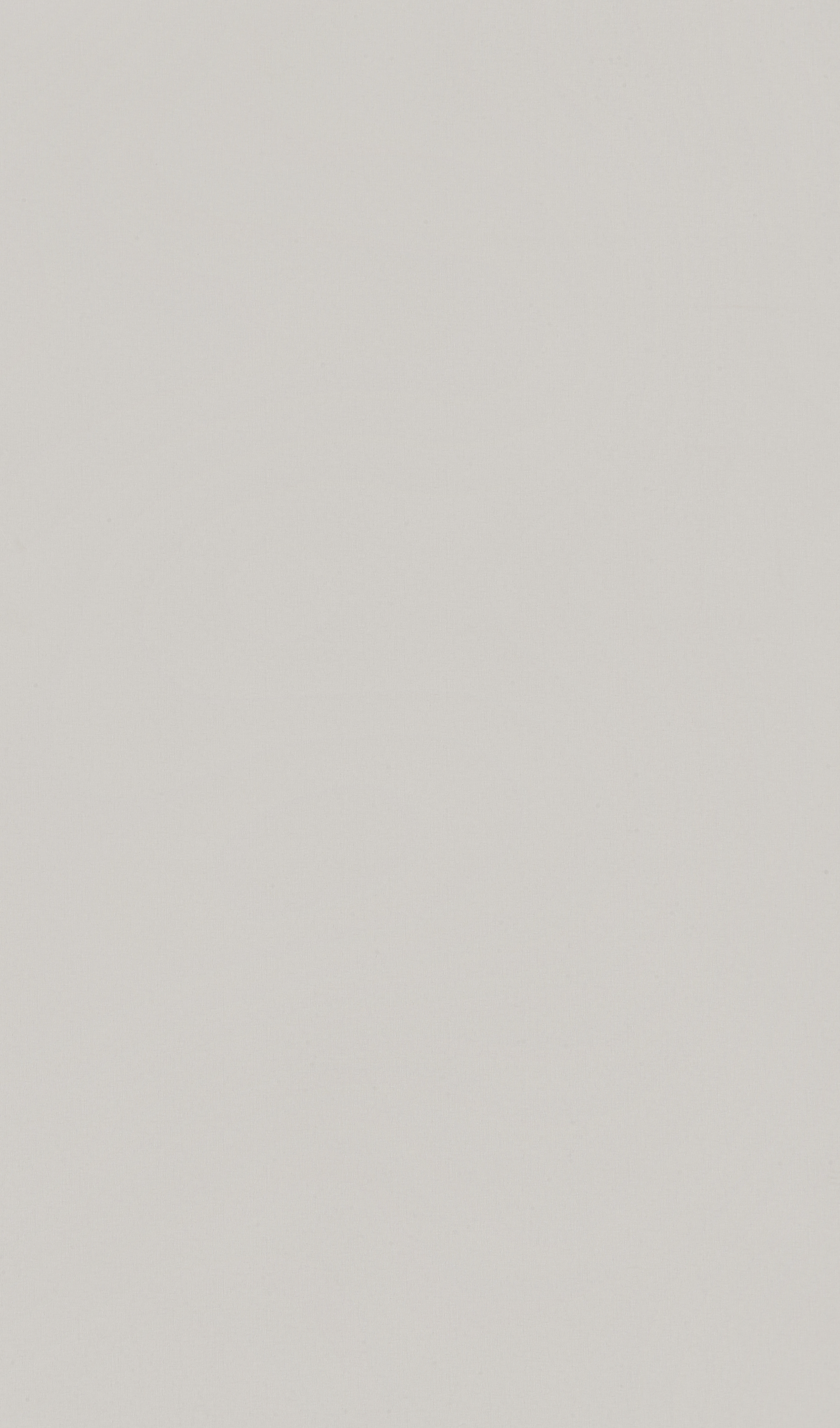 LZ799-2 米肤布纹